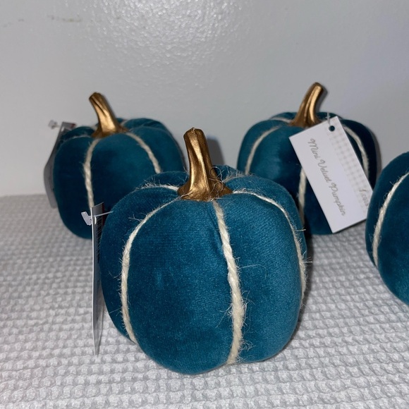 Mini velvet pumpkins - set of 4- target bullseye playground - Picture 6 of 7